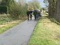 Wandeling 22-10-2017 (18)